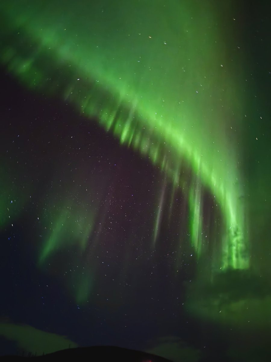 Rania // underflowR tweet media