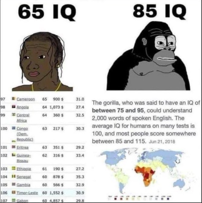 Wenlen Ardeen tweet media