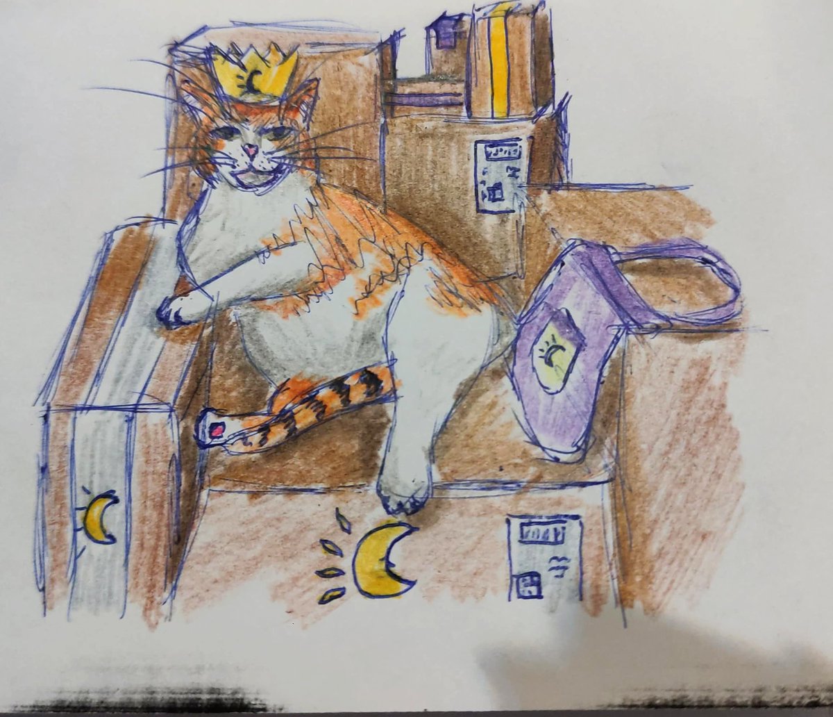 gabi ✨ tweet media