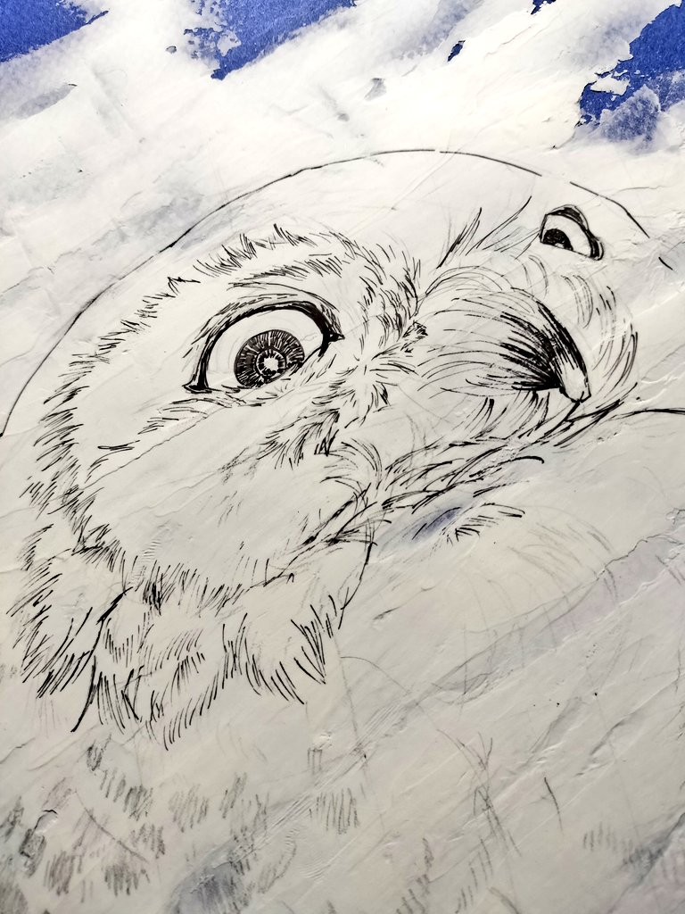 ふくろう屋 そばがら tweet media