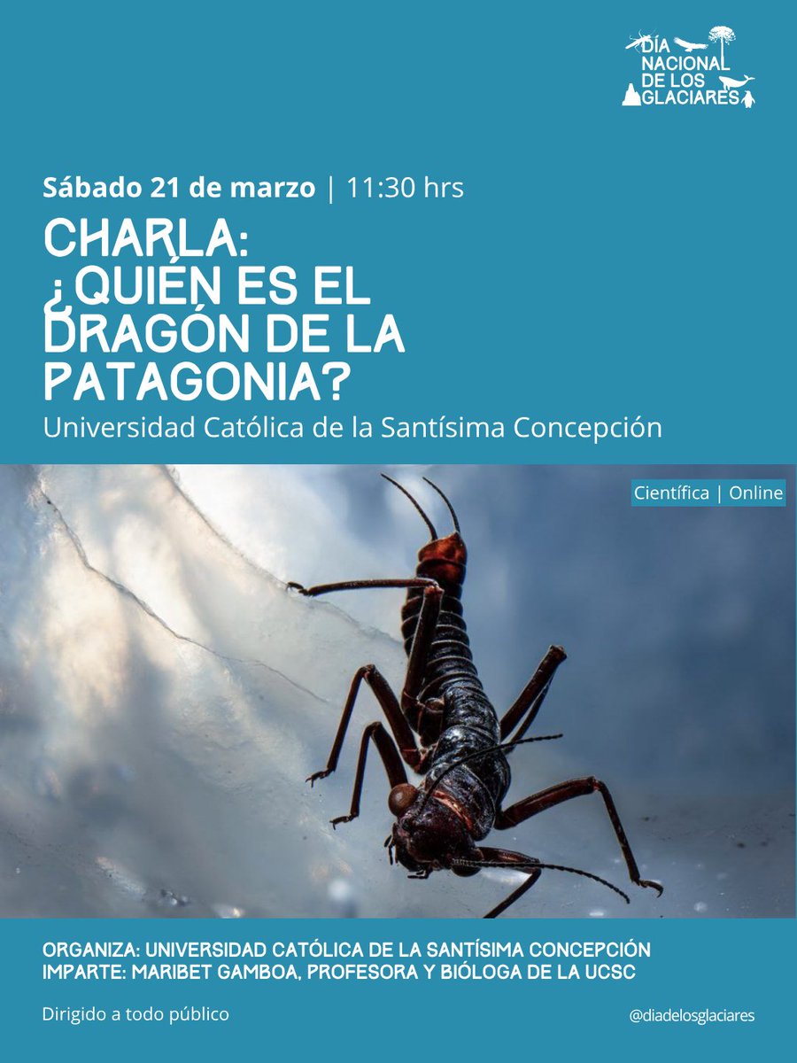 Fundación Glaciares Chilenos tweet media