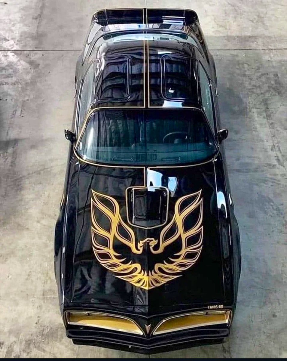 Bandit Run Ric tweet media