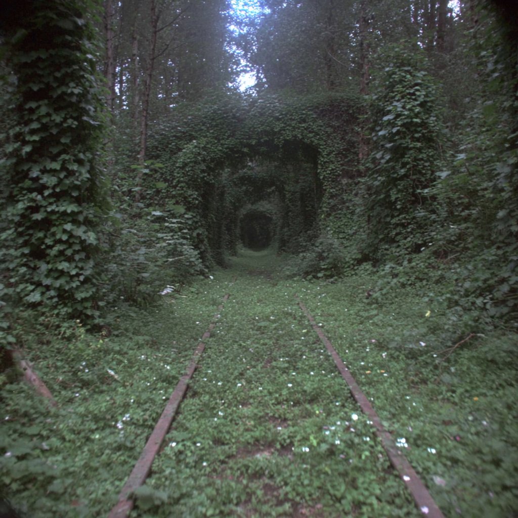 Liminal Dreams tweet media