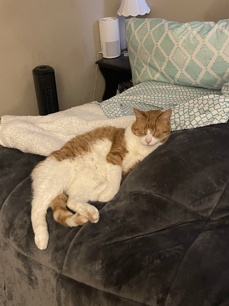 Fiction’s less believable brother tweet media