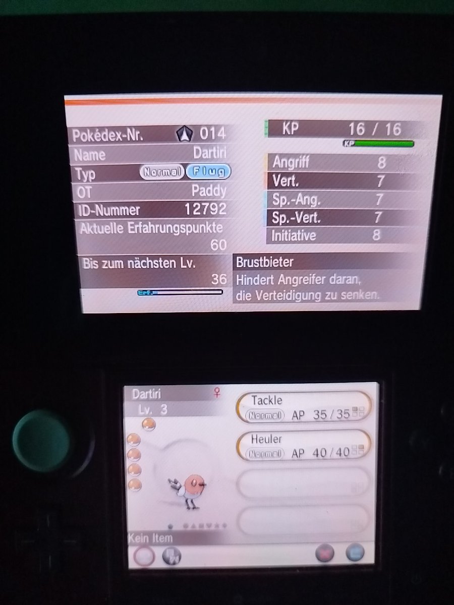 Lord Paddy tweet media