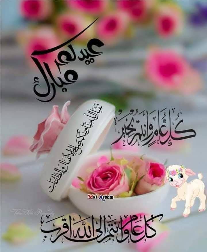 SdamAltwyl's tweet photo. @Amjadasta https://t.co/1rRe1sm0JV