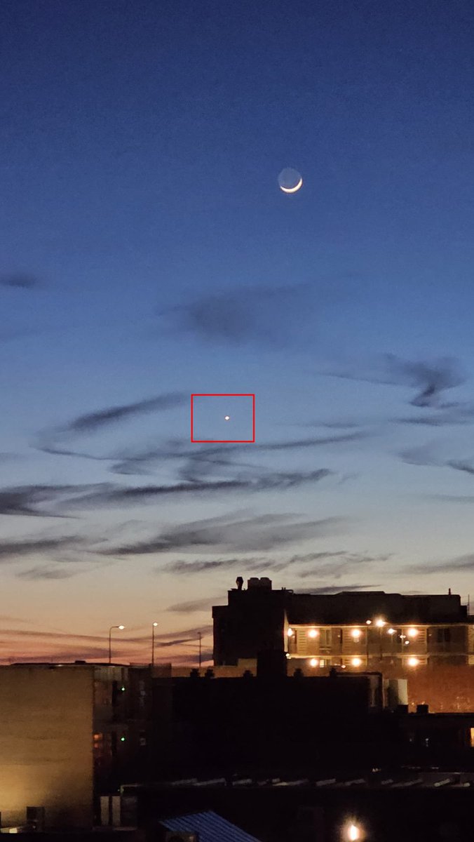 DJ/Dr. Sabu Kanarie tweet media