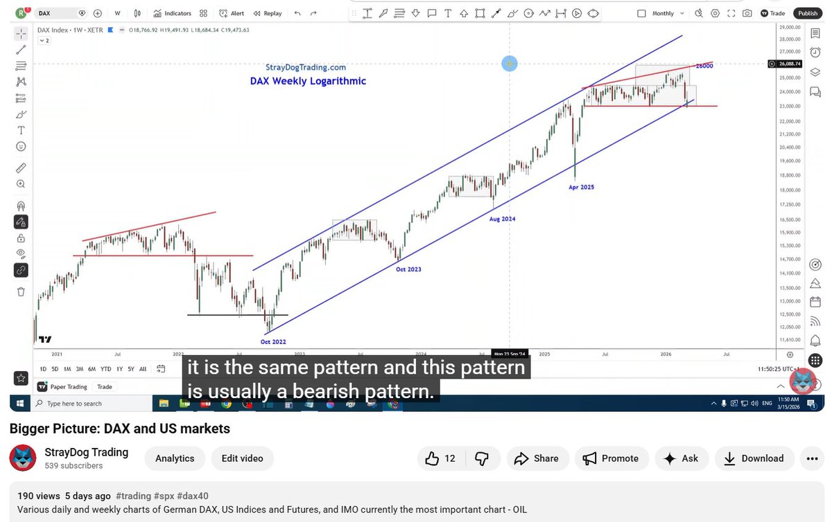 StrayDog tweet media