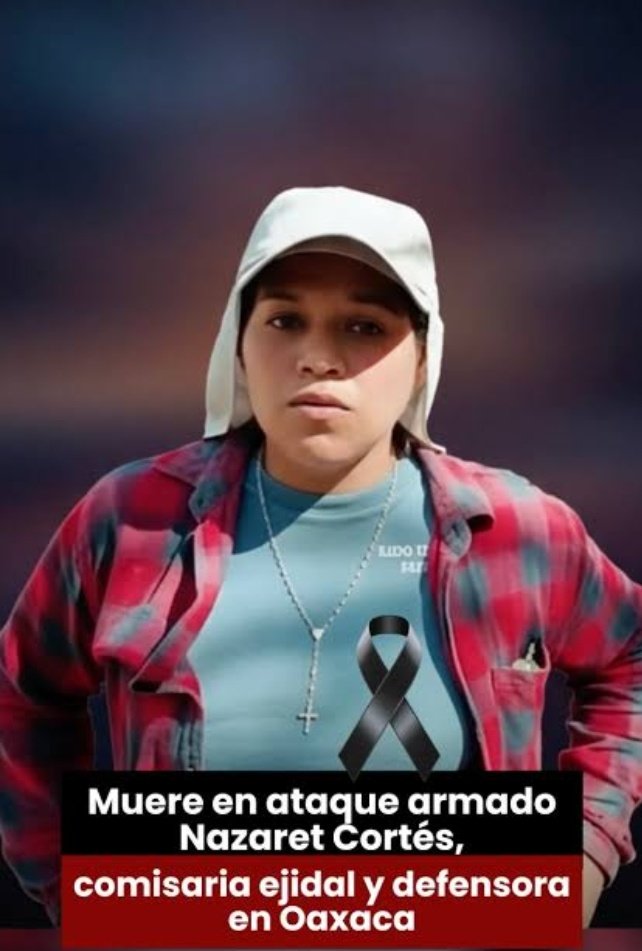 Analy Nuño tweet media