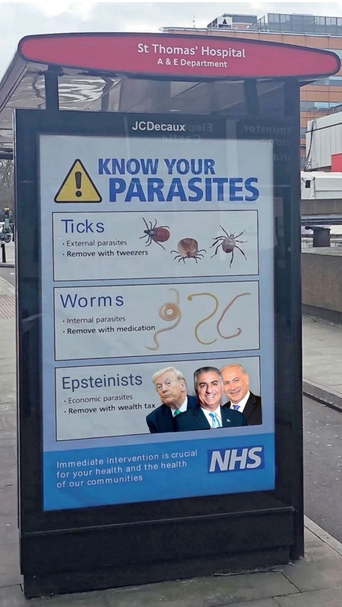 Ramon Trofort tweet media