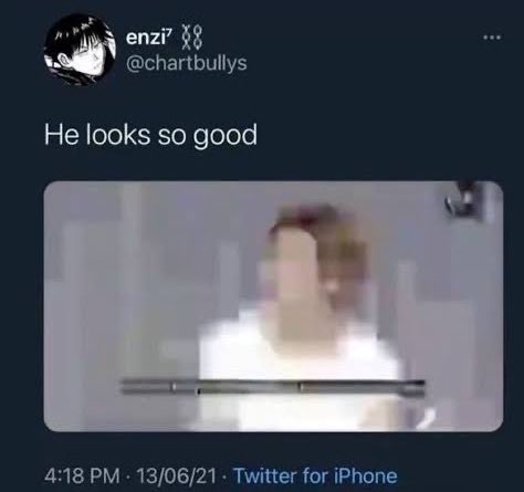 alex🐻 tweet media