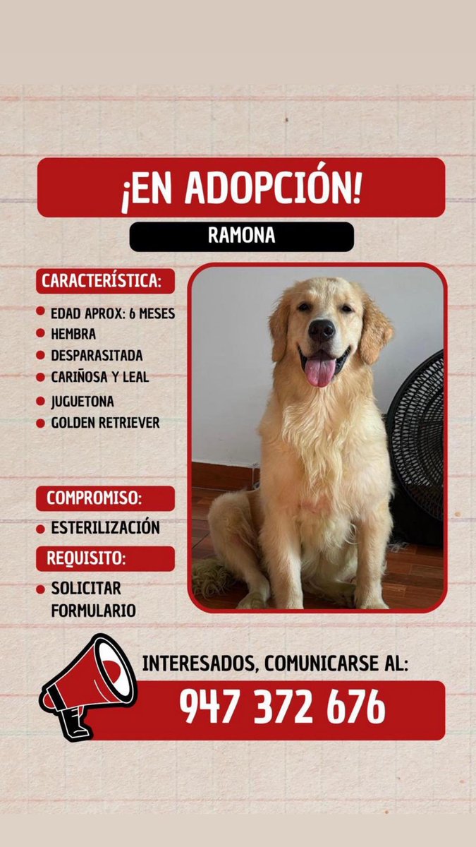#Adopción para Ramona, una Golden Retriever abandonada.