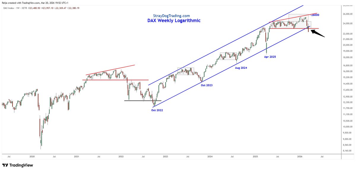 StrayDog tweet media