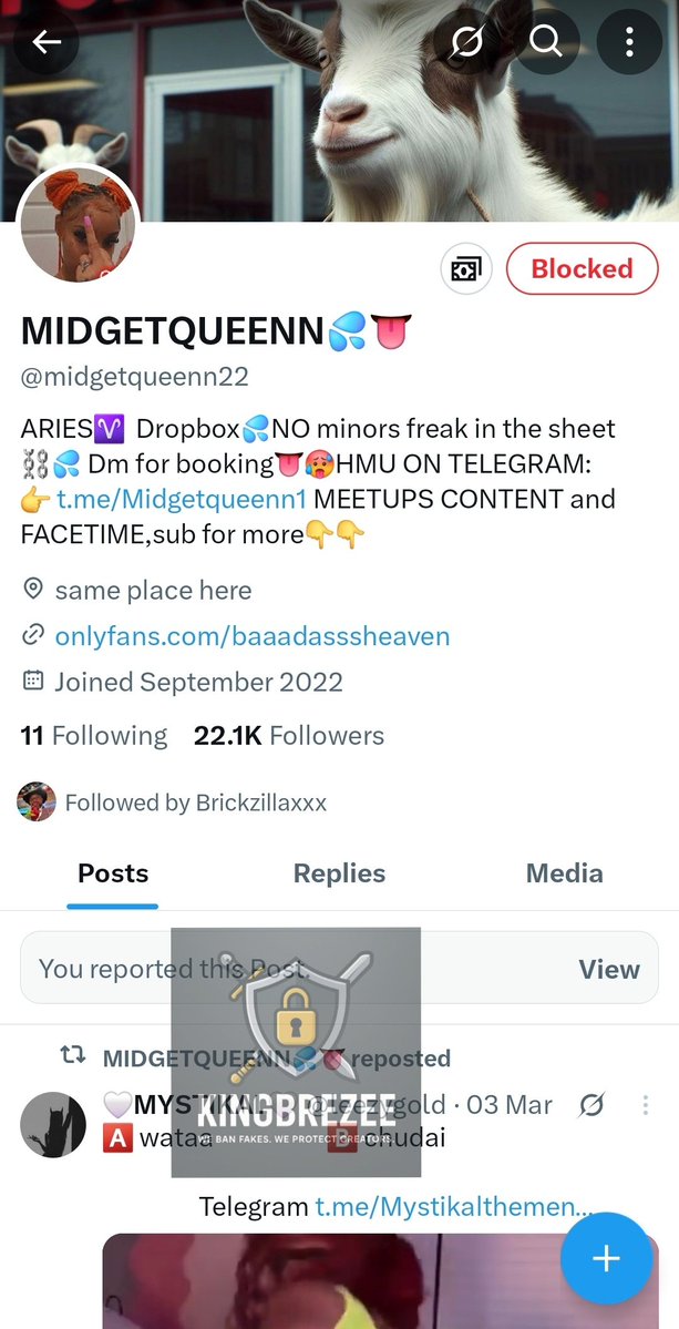 King Brezee 🛡️ DMCA Agent tweet media