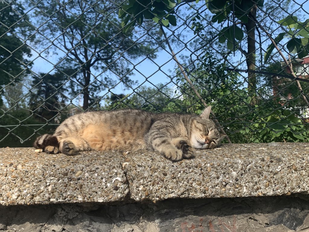 ivy⸆⸉ ོ ❤️🔥 tweet media