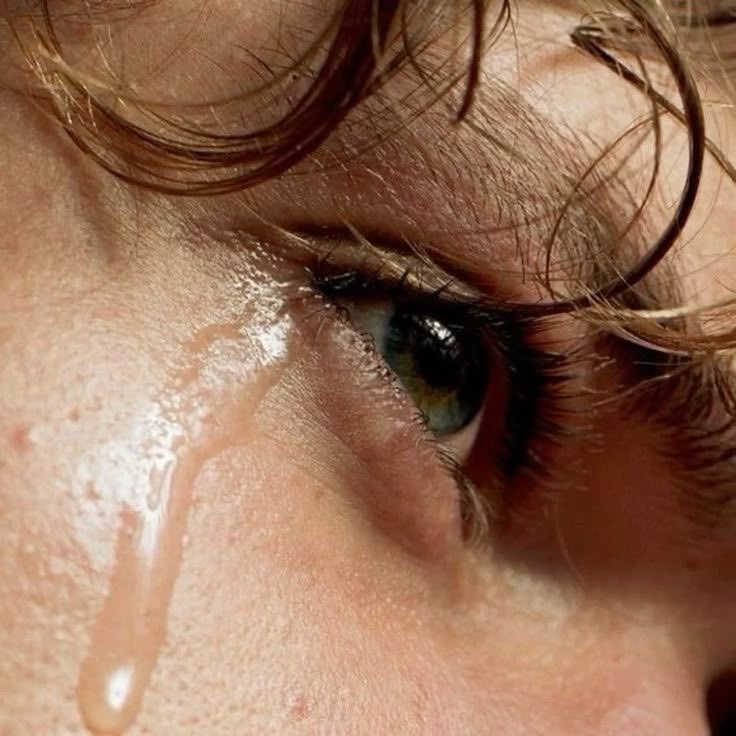 гвоздика tweet media