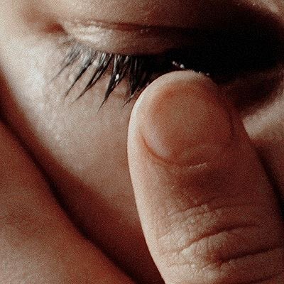 гвоздика tweet media