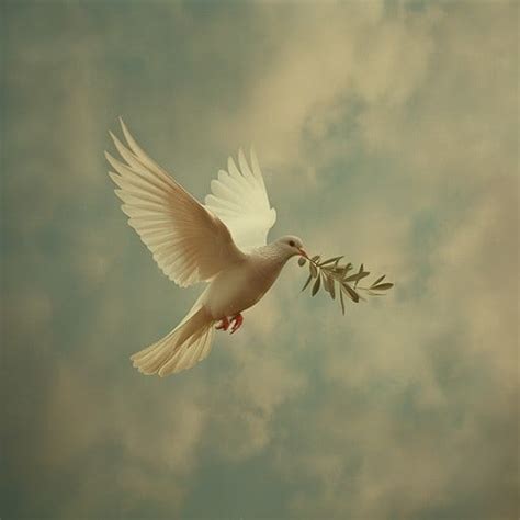 Christian Saunders tweet media