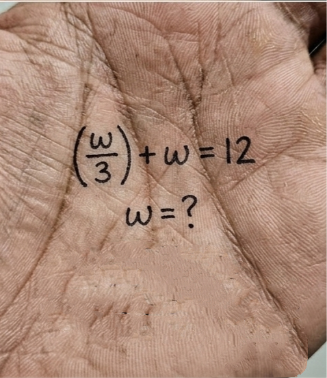 Brain IQ Test tweet media