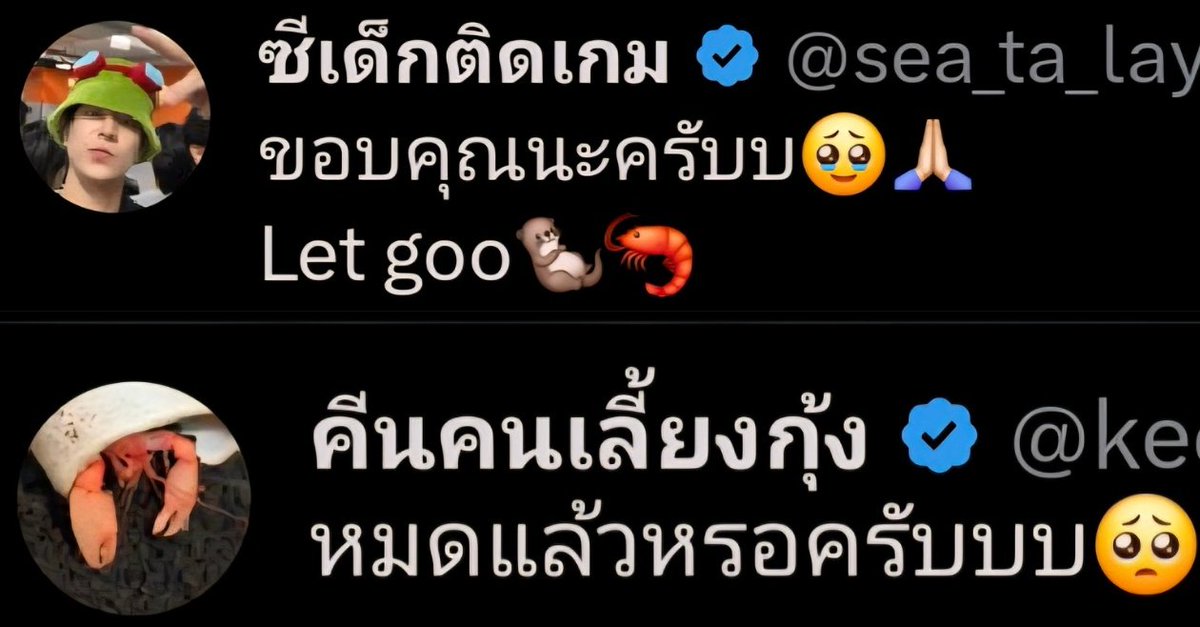 𝗣𝗼𝘆𝗹𝗶𝗻♡⁠｡ft.แม่มอมฮ้าฟ tweet media