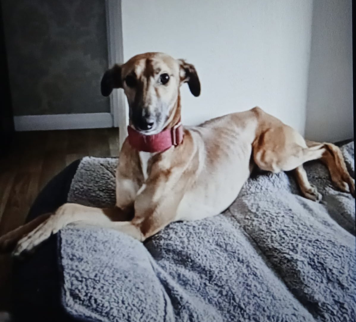 chris towers tweet media