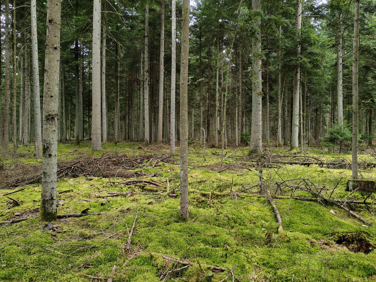 Magda Grzybiara tweet media