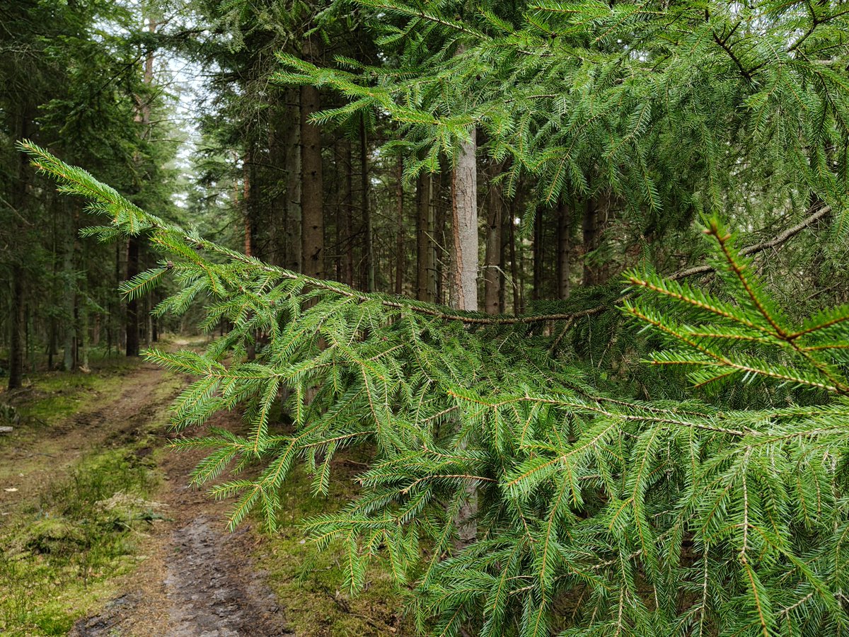 Magda Grzybiara tweet media