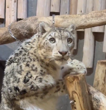 lorelei 🌼🌟 tweet media