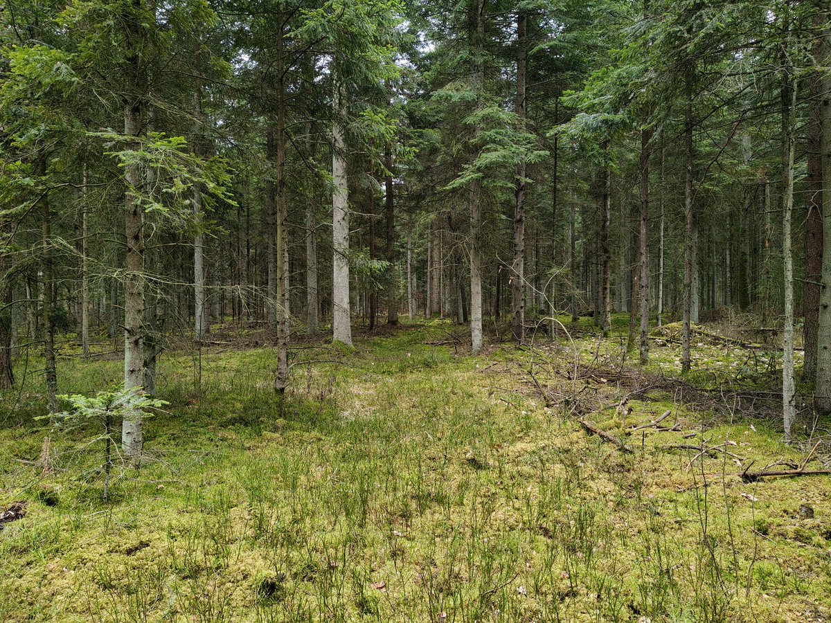 Magda Grzybiara tweet media