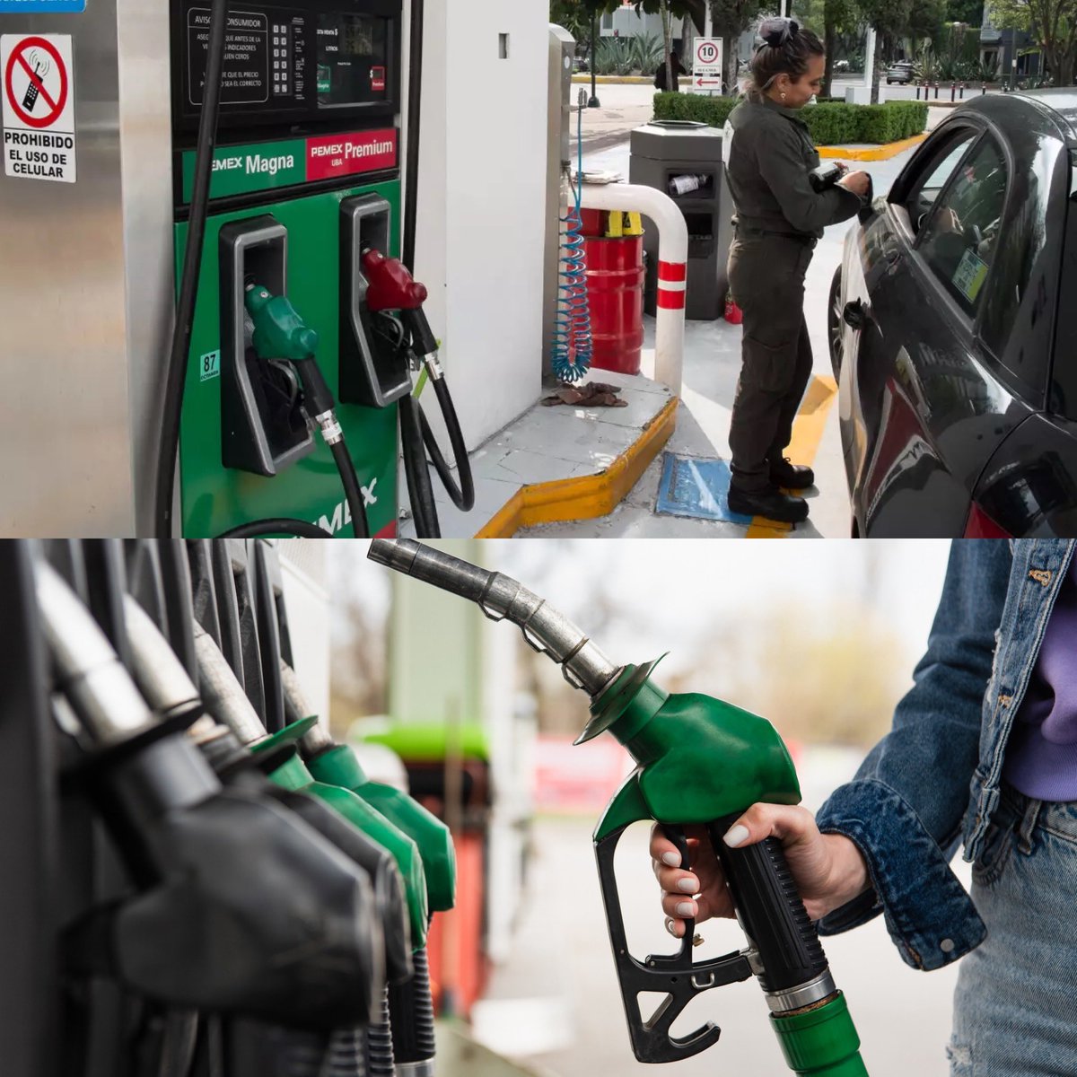 Cerebros tweet media