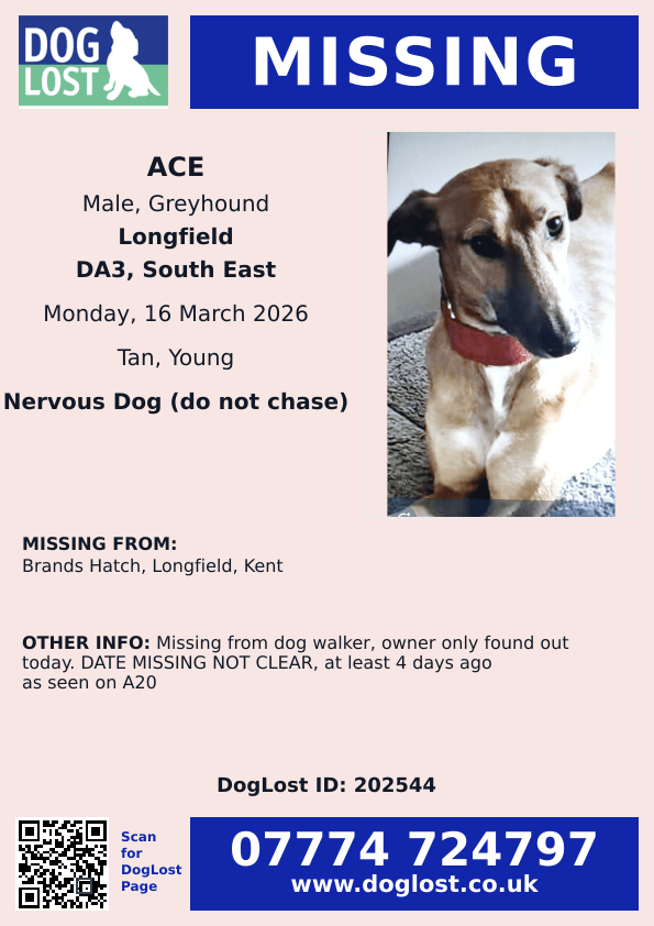 chris towers tweet media