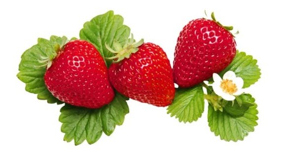 ꒰ જ⁀➴bao｡ﾟ♡ ꒰🍓 tweet media