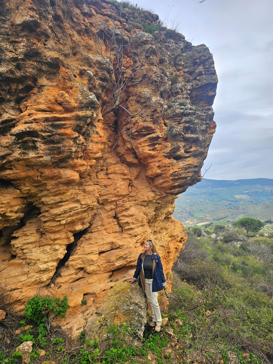 PetiscosGalegos tweet media