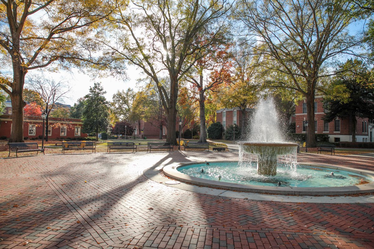 Randolph-Macon Hoops tweet media