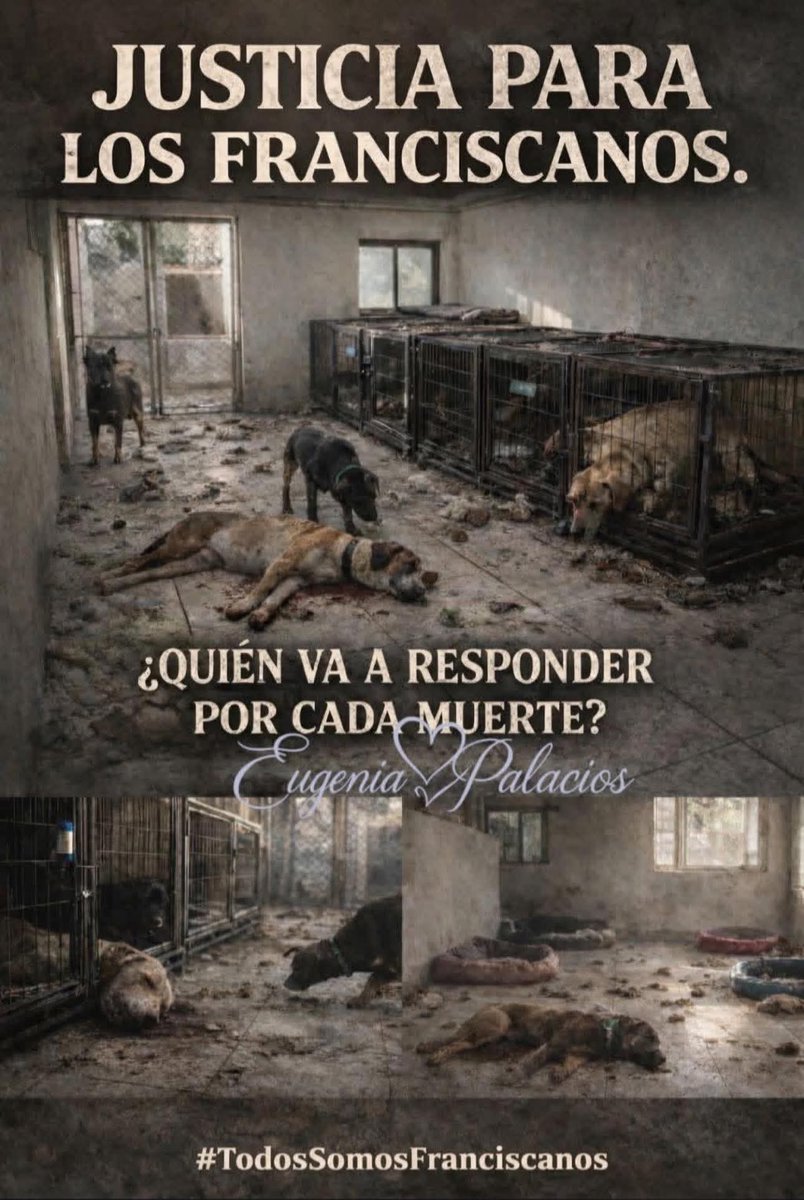 Es venganza de la Cruella Brugada #NoFueRescate #franciscanos #MorenaEsCORRUPCION #CruelaBrugadaDevuelveALaManada #FAHCartelInmobiliario #vivosselosllevaronvivoslosqueremos  #CruellaBrugadaDevuelveALaManada #CarmelaRiveroFueTodoPorDinero