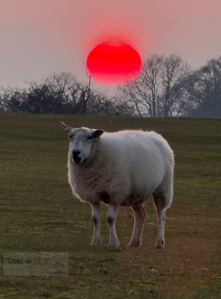 Jamie penrith tweet media