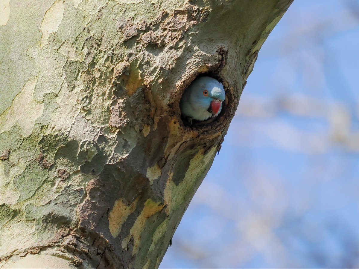 Deena Sharp tweet media