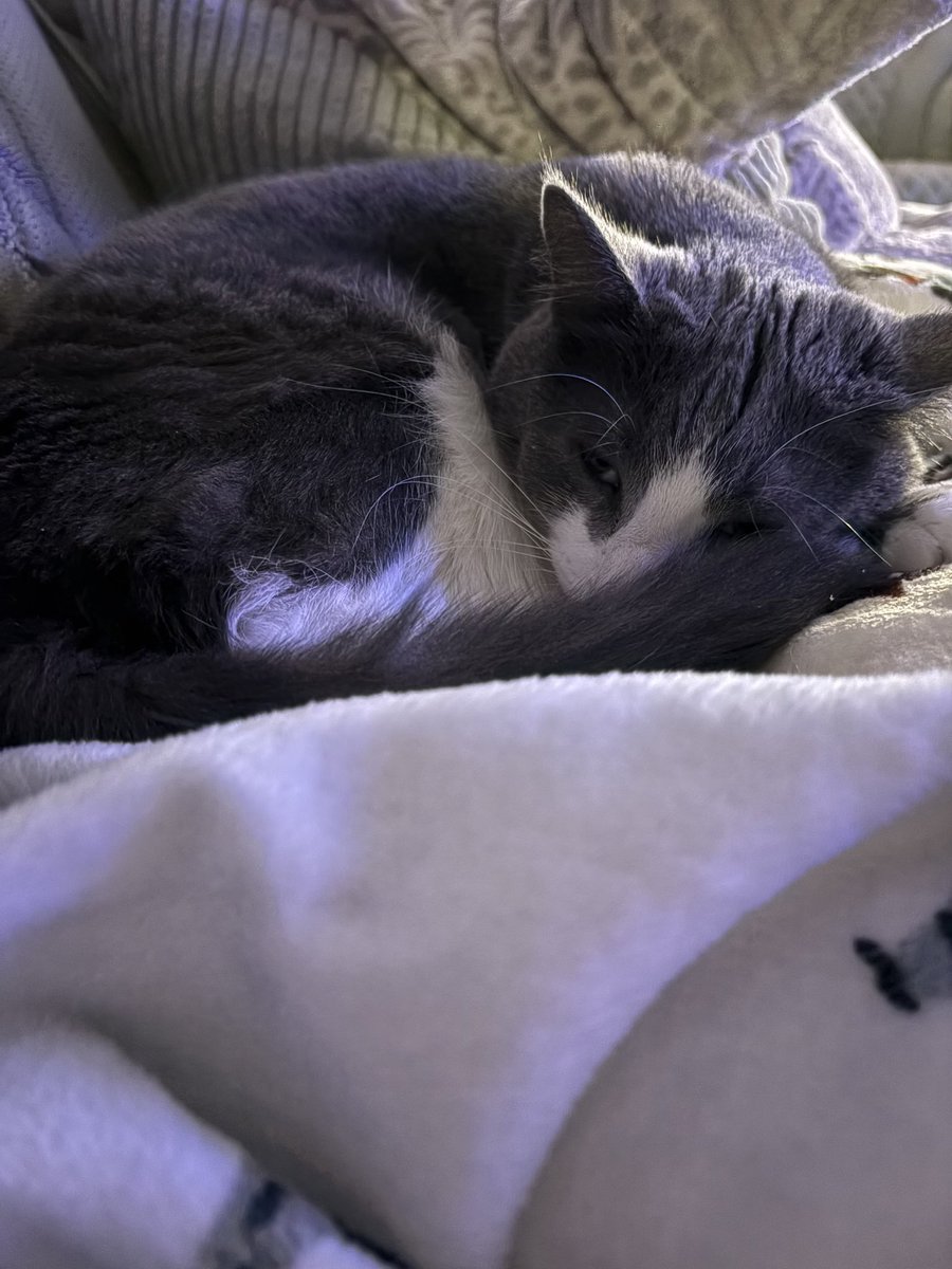 Alyssa Mayfield tweet media