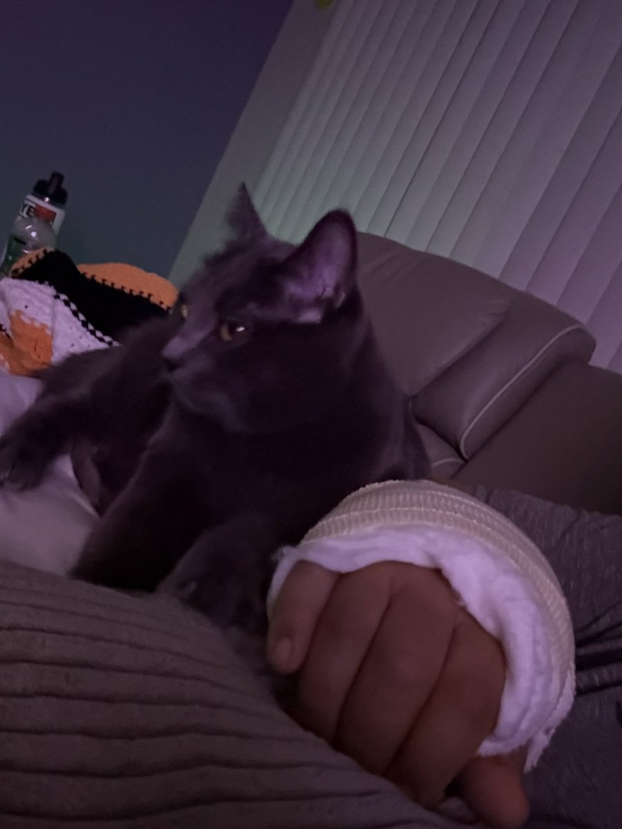 Alyssa Mayfield tweet media