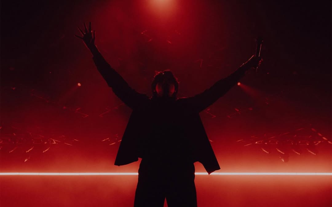 NOAH DAILY tweet media