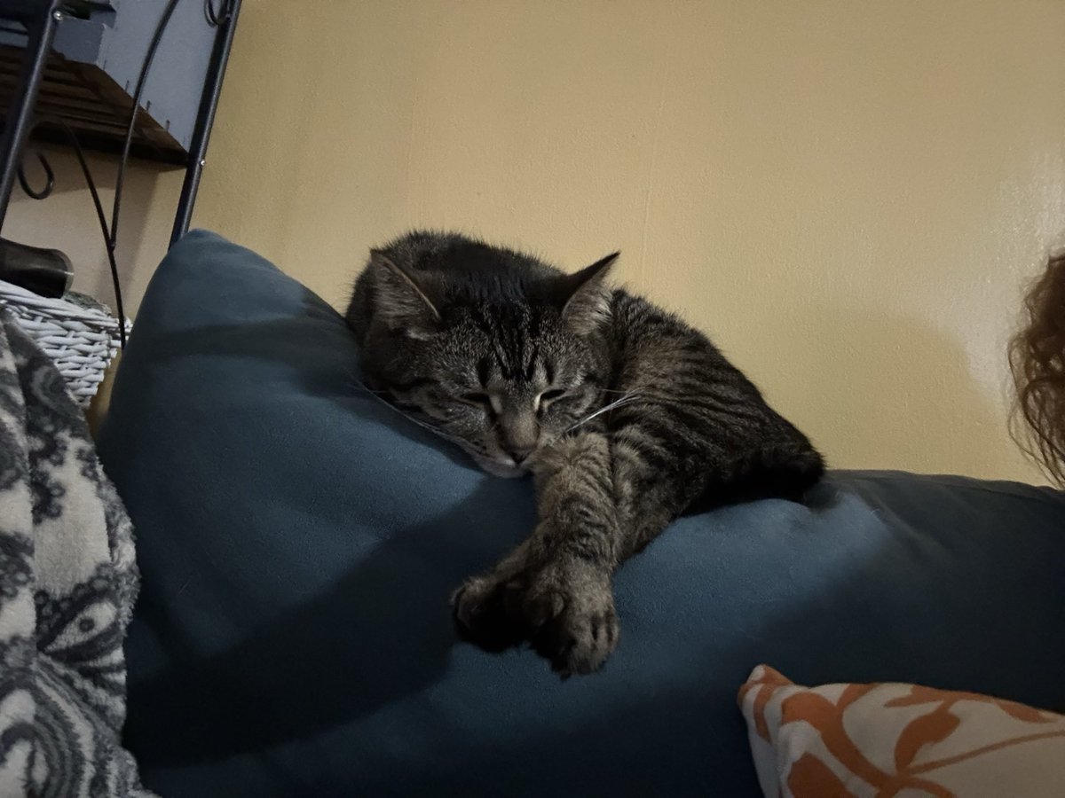 Rebecca 🪷 tweet media