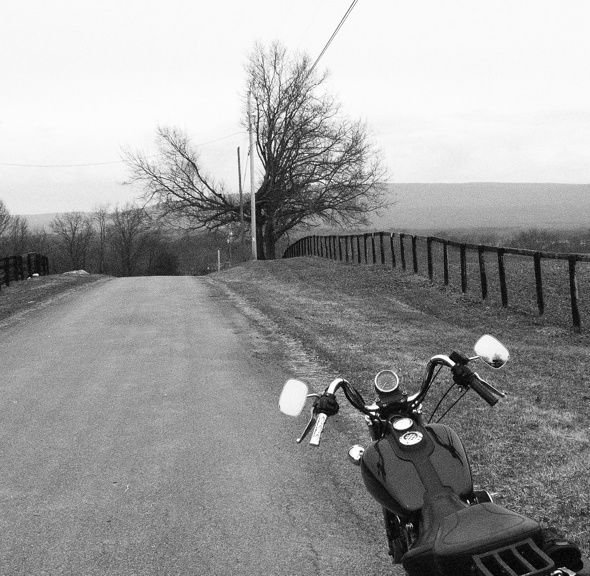 Blue Bike Mike tweet media