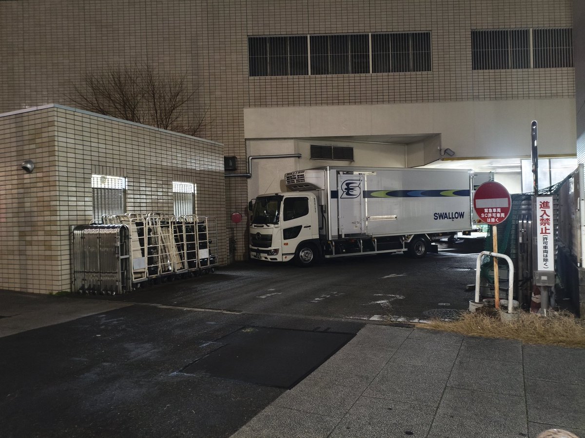 梅虎🌸中国語勉強中🇯🇵🇨🇳✨ tweet media