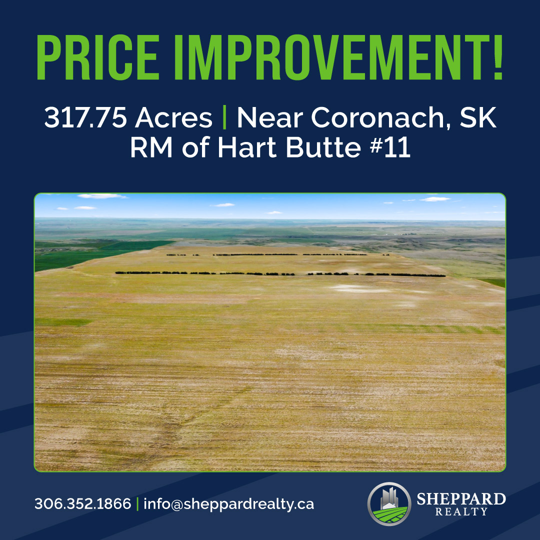 Sheppard Realty tweet media