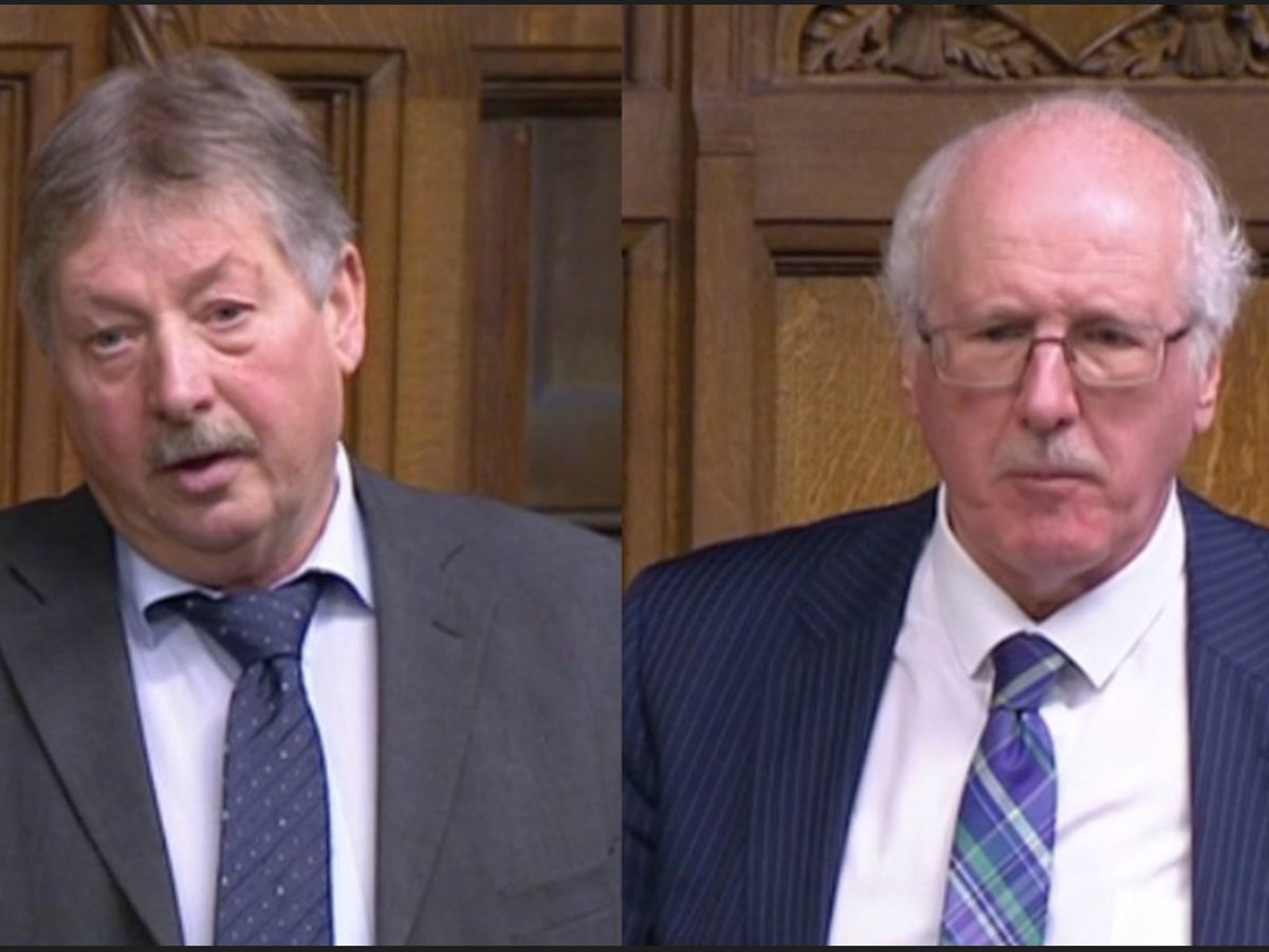 Greenwytch 3 tweet media