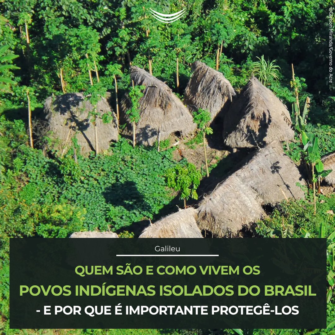 Comissão Pró-Índio de São Paulo tweet media
