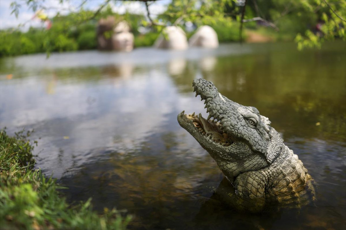 Fórmula 360 tweet media