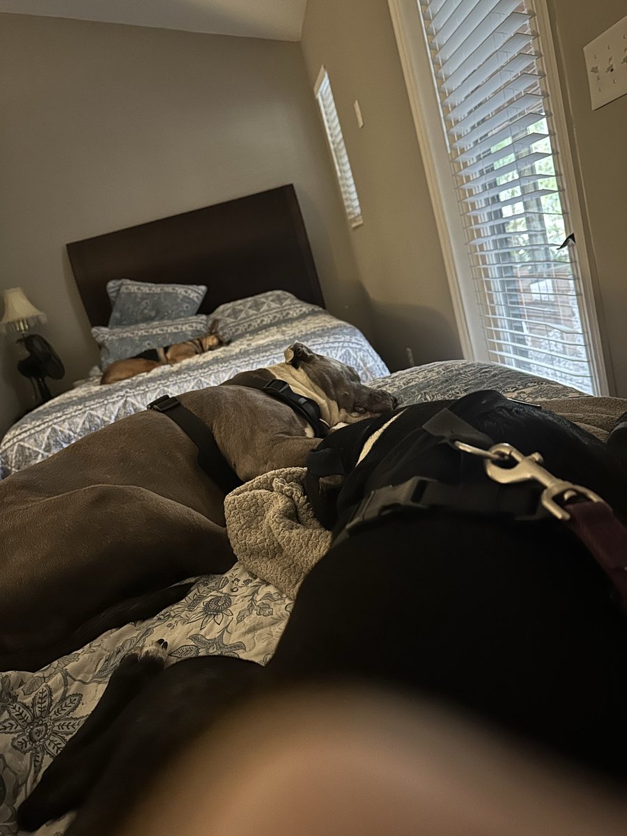 Jaime FNP tweet media