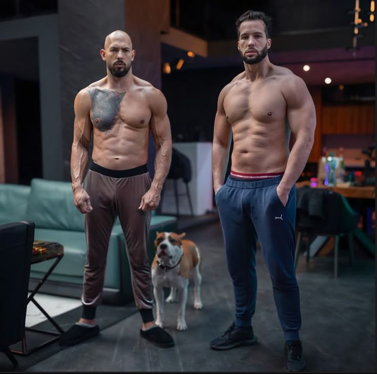 кєνín tweet media