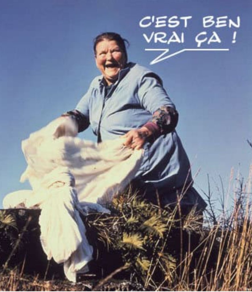 🙋♂️ De Clermont Léo 💥 tweet media